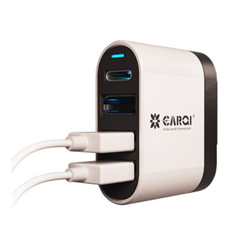 AC45L04C   Type-c手機(jī)充電器