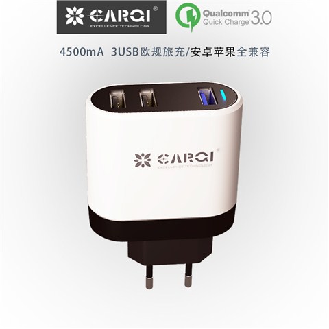AC45L04Q    歐規(guī)手機充電器